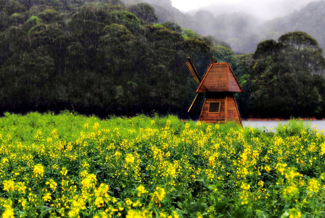 佛山中；峋傩写踊湃讼裆阌安煞缭硕